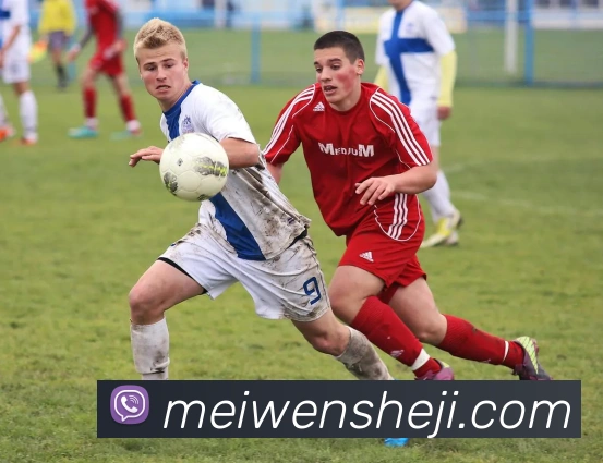 数据防护可视化